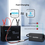 12V 20A AC-to-DC LFP Portable Battery Charger