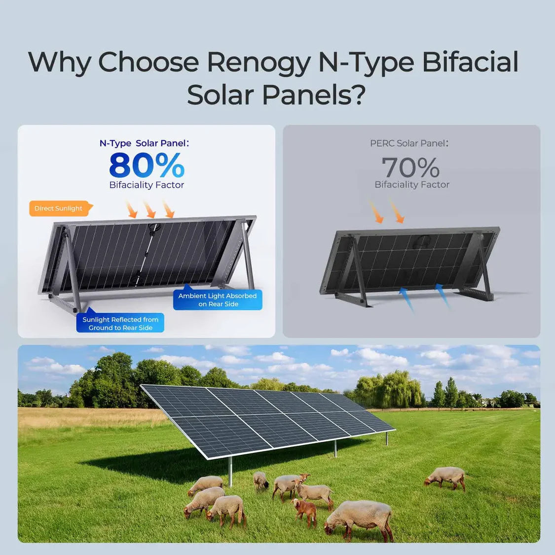 590W N-Type Bifacial Solar Panel Bundle- Renogy