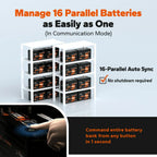 LiTime 12V 100Ah Smart | ComFlex/Bluetooth